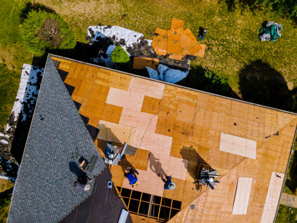 Best Flat Roof Repair Services  in Port St John, FL