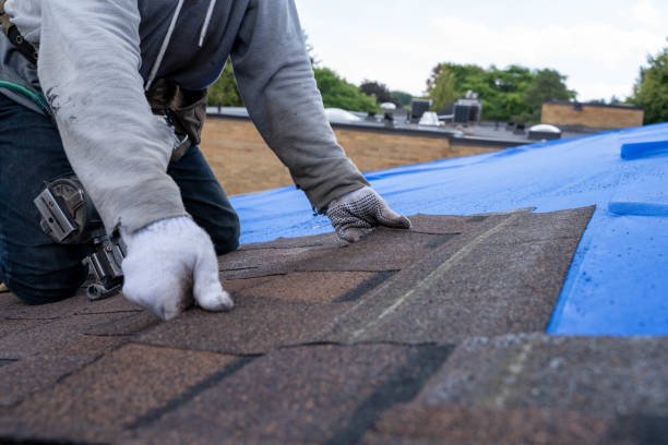 Best Shingle Roofing Installation  in Port St John, FL